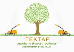 Уборка дачных участков (покос, спил деревьев, вспашка/ под ключ)