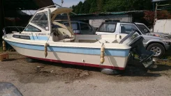 Yamaha F-22. ��������� ���������, ������ ����