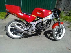 Honda NS 1. 50����. ��., ��������, ���, � �������� ����