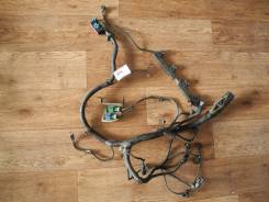 Проводка двс. Ford Focus