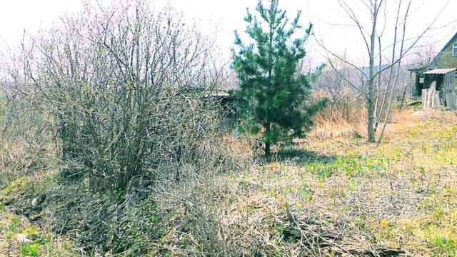 Продам дачный участок Соловей-ключ 10-й км Надежденский район, 600 кв ...