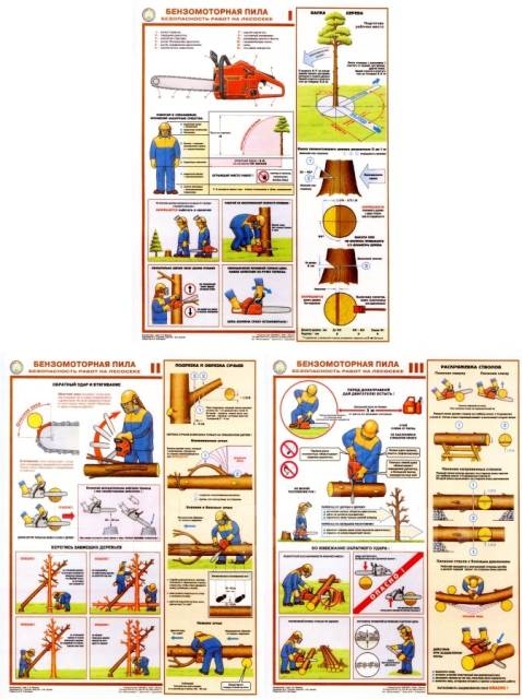 Инструкция По Технике Безопасности По Столярному Цеху