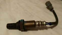 ������ ����������� ������ (������ ���� ) ����