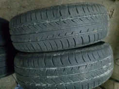 Tunga Camina. ������, 2013 ���, �/�, ����� 10�% ����