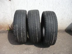 Eldorado Wild Spirit A/S. ������, �/�, ����� 50�%