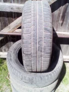 Pirelli P2500 Euro. ������, �/�, ����� 50�%