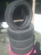 Dunlop SP Racer. ������, 60�%, 4 ��