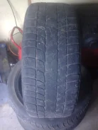 Trayal Arctica. ������, �����
