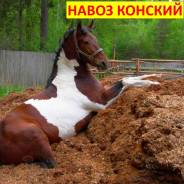 Навоз.