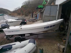 ���� 14. 2013 ���, ����� 4,3��., 15��.�., ������ ����