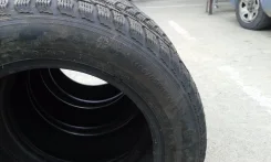 Tunga Camina. �����������, ��� ������, 1 ��. ��� �����