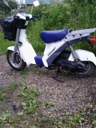 Suzuki Mollet. 49����. ��., ��������, ��� ���, � �������� ����