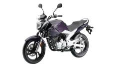 Yamaha FZR 250. 249 куб. см., исправен, птс, без пробега. Под заказ