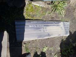 Накладка на дверь. Toyota Estima Emina, CXR21, CXR21G