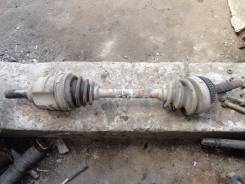 ������ �������� ����� ����