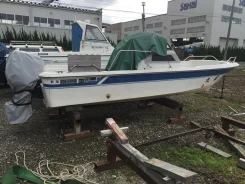 Yamaha UF-20. ��������� ���������, ������ ����