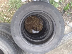 Pirelli P400 Touring. �����������, �/�, ����� 30�% ����