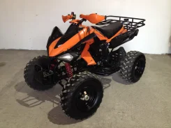 Yamaha Raptor 250. ��������, ���� ���\���, ��� �������. ��� ����� �� ���������� ����
