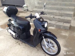 Stels Alpha 50. 49����. ��., ��������, ��� ���, � �������� ����