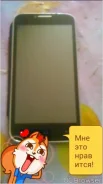 DNS S5005 ����