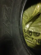 Bridgestone Blizzak PM-10. ������, ��� �����, 2009 ���, �/�, ����� 60�% ����