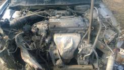 Honda Torneo. CF4, F20B
