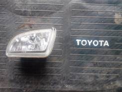 Фара противотуманная. Toyota Caldina, ST210, ST210G Двигатель 3SFE