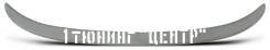 Спойлер. Toyota Camry, ACV40, ASV40, AHV40, GSV40, CV40, SV40