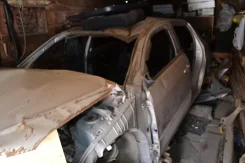 Toyota WiLL VS. ZZE1270003119, 0784949 ����