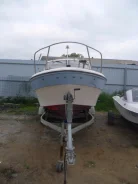 Yamaha F-22. 1992 ���, ��������� ���������, ������ ����