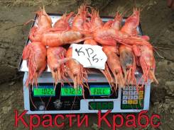 Креветка.
