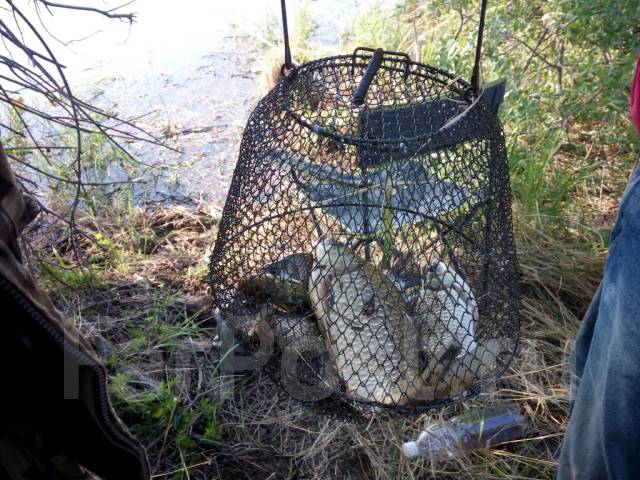 Снасть хапуга. Рыбалка на хапугу летом с берега. Хапуга удочка для зимней рыбалки. Ловля на хапугу летом. Место для рыбалки.