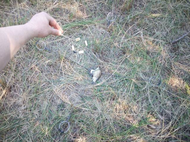 Рыбалка на хапугу летом с берега. Хапуга летом с берега видео. Рыбалка на подъемник паук сибирский странник. Хапуга для зимней рыбалки. Рыбалка хапугой в сибири.