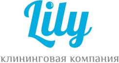 Клининговая компания Lily. От мойки фасадов до химчистки мебели.