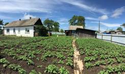 Продам полдома 3-ком. в с. Некругловол, Михайловском районе. Ул. Дорожная д.3, р-н, село Некруглово, площадь дома 43 кв. м., скважина, электричество 3...