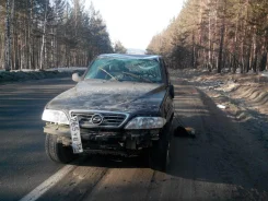SsangYong Musso ����
