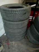 Dunlop Rover. ������, ��� �����, 2010 ���, 30�%, 4 ��