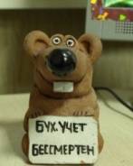 Бухгалтерские услуги ООО, ИП < УСН, ЕНВД, ОСНО>