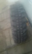 Simex. ����� at, 2015 ���, ����� ����