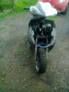 Irbis Nirvana. 150����. ��., ����������, ��� ���, � �������� ����