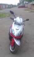 Irbis Nirvana. 150����. ��., ��������, ��� ���, � �������� ����