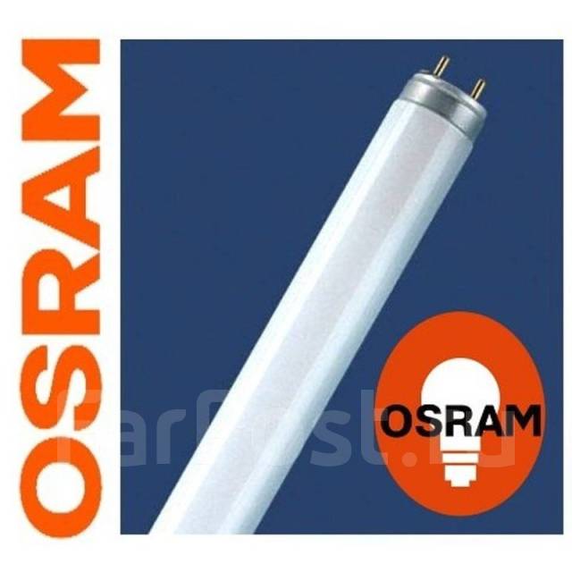 Лампа люминесцентная L 36W/765 Osram, новый, в наличии. Цена: 111₽ во ...