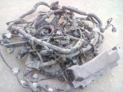 Проводка двс. Toyota Corolla, ZZE121, ZZE121L Двигатель 3ZZFE