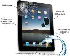   Sony. 