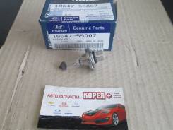 Лампа. Hyundai: ix35, Grandeur, Starex, Azera, Dynasty, i20, Sonata, ix55, Veracruz, Elantra, Equus, Avante, Coupe, Libero, Trajet, Terracan, H1, Gene...
