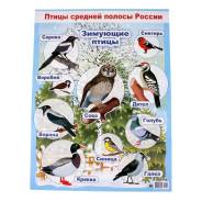 Плакаты.
