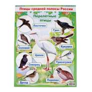 Плакаты.