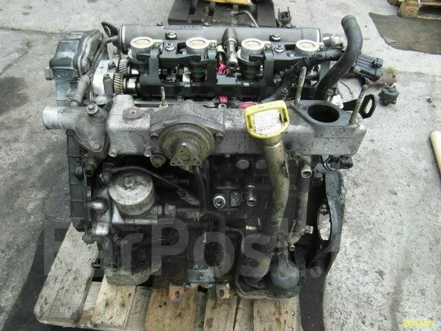 Isuzu Wizard. UES73, 4JX1 ����
