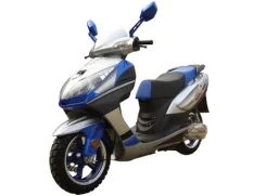 Irbis Nirvana. 150����. ��., ��������, ��� ���, � ��������