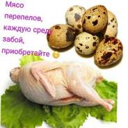 Мясо перепела.